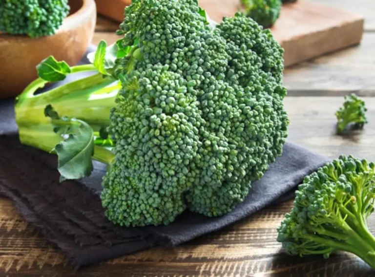Can eating broccoli best cure cancer? Find out what the research says