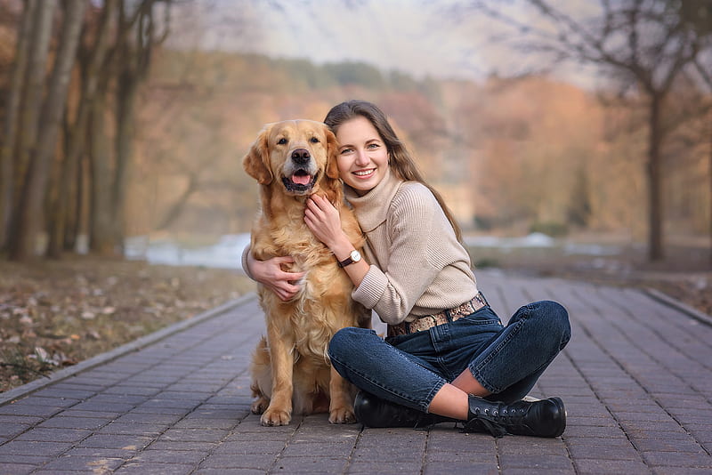 A golden retriever breed dog changed the fortune of a cleaning lady, earning 8 crores per year