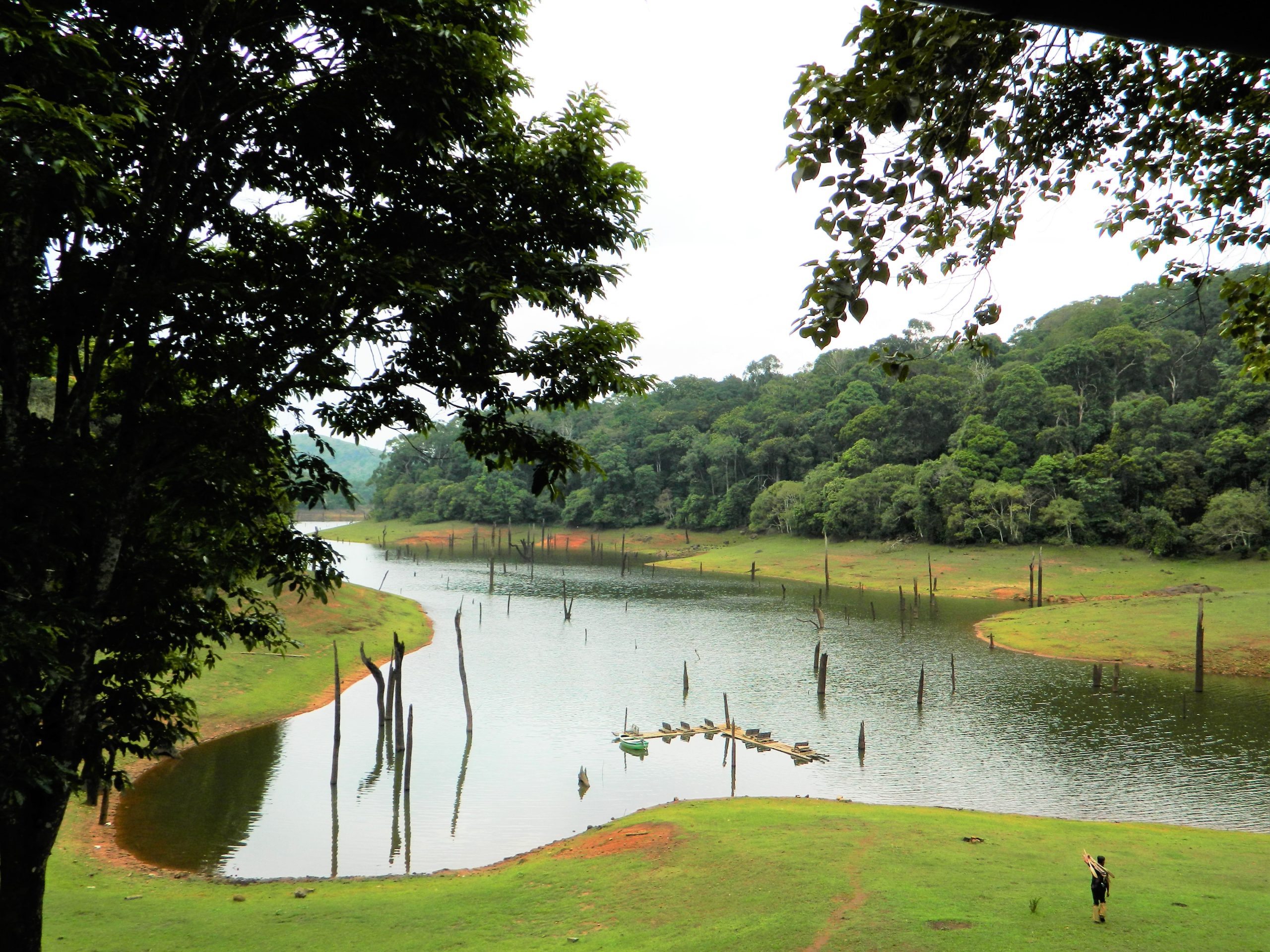 Explore India's smallest national park, know where, when and how to visit