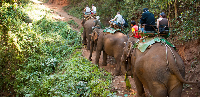 Explore India's smallest national park, know where, when and how to visit