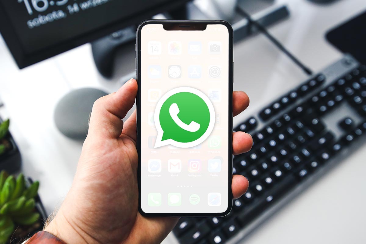 Can ignore important WhatsApp calls while busy, send reply to caller via text