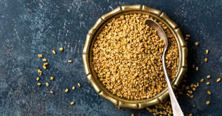 From sugar control to weight loss, know the many benefits of fenugreek seeds