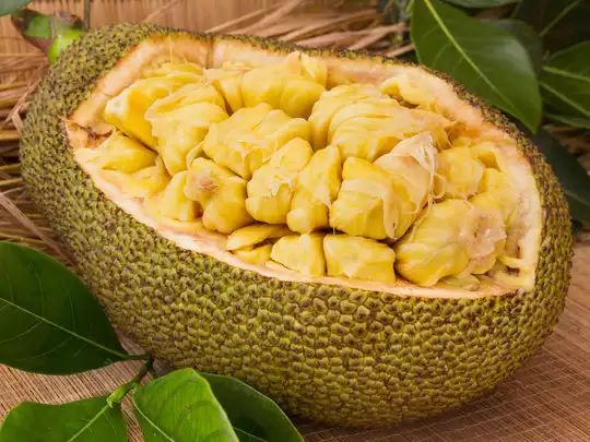 Diabetics can also eat Jackfruit Ladoo, know the recipe