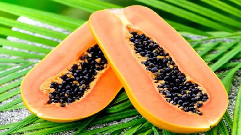 When is the right time to eat papaya? Learn about the pros and cons