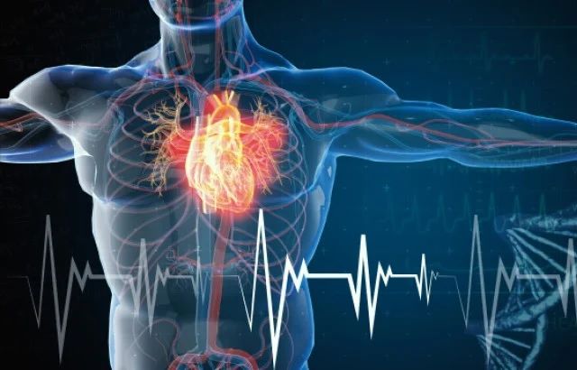More than half of people who have a heart attack die at home, do you know why?