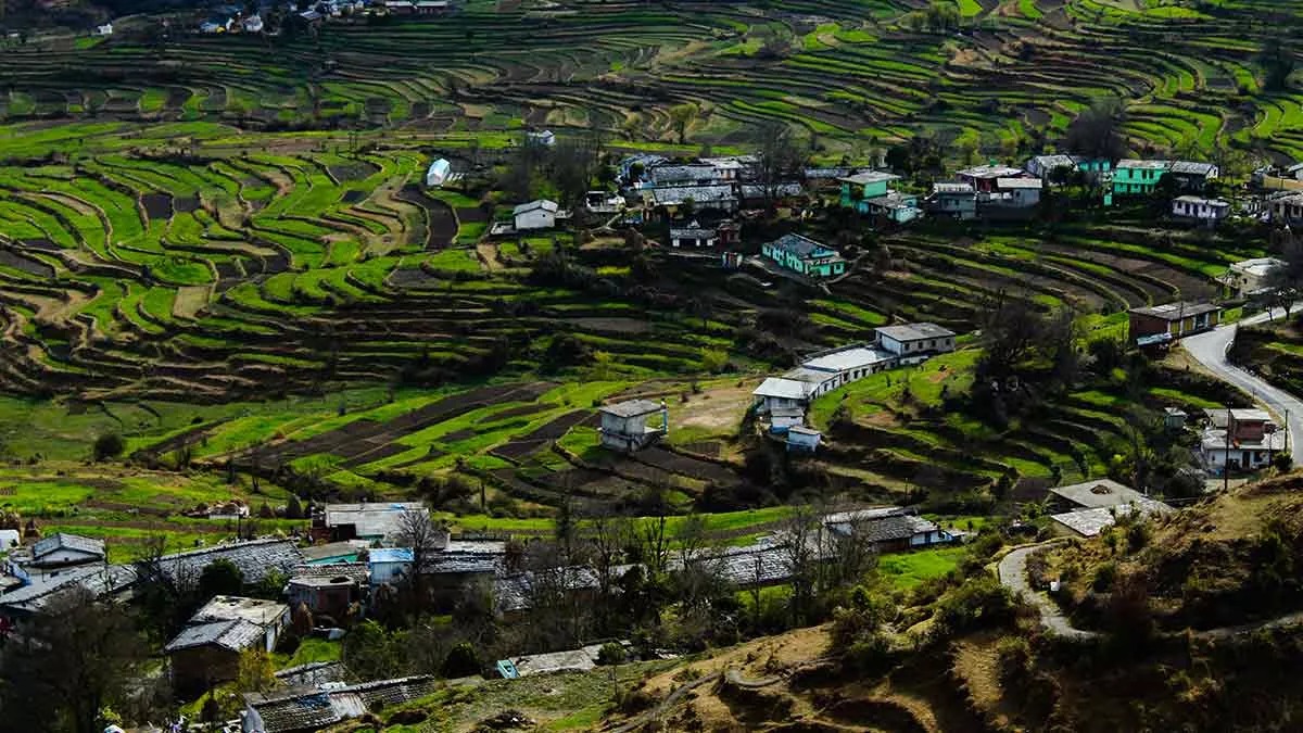 If you are planning to travel, definitely visit Tanakpur, the natural beauty will leave you mesmerized.