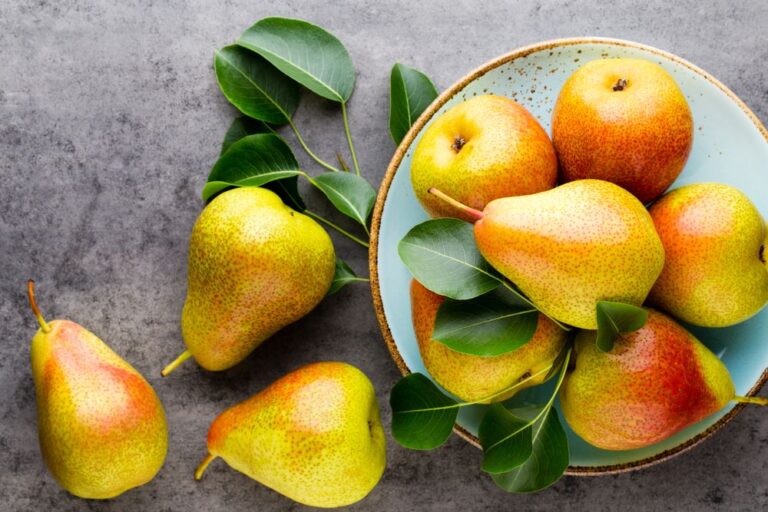 From controlling blood sugar to keeping the digestive system healthy, eating pears in monsoons has countless benefits