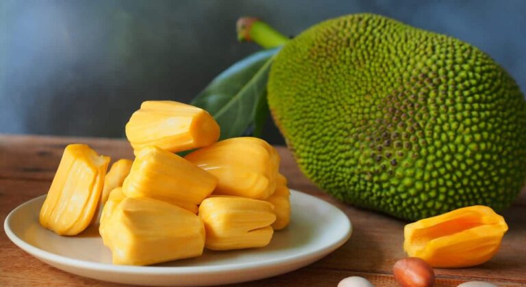 From boosting immunity to keeping the digestive system healthy, know the amazing benefits of eating jackfruit