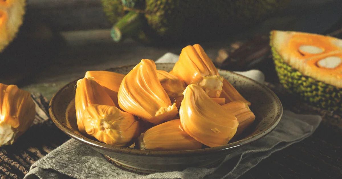 From boosting immunity to keeping the digestive system healthy, know the amazing benefits of eating jackfruit