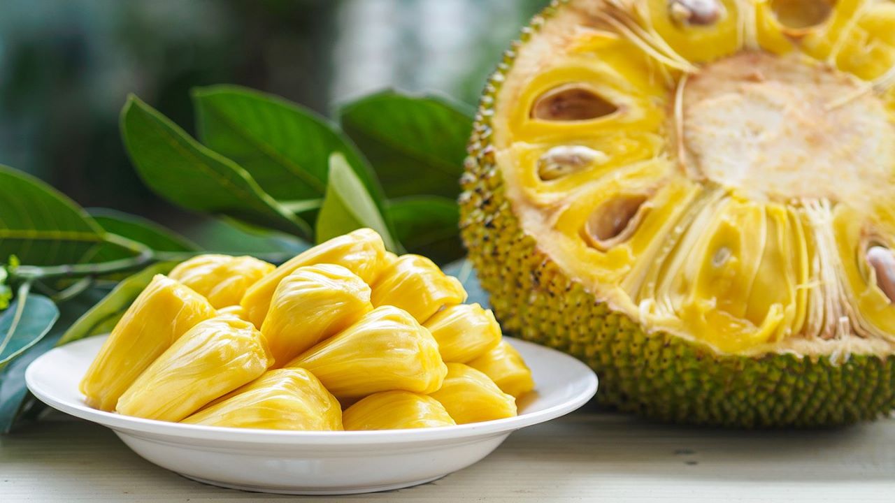 From boosting immunity to keeping the digestive system healthy, know the amazing benefits of eating jackfruit