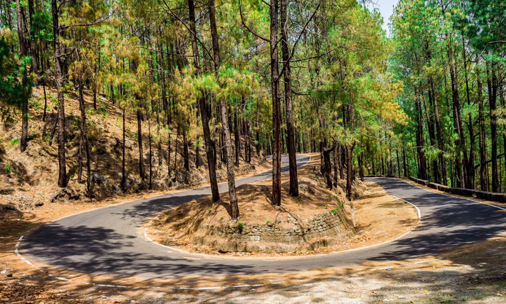 These places are great for last-minute travel plans, an experience you won't forget