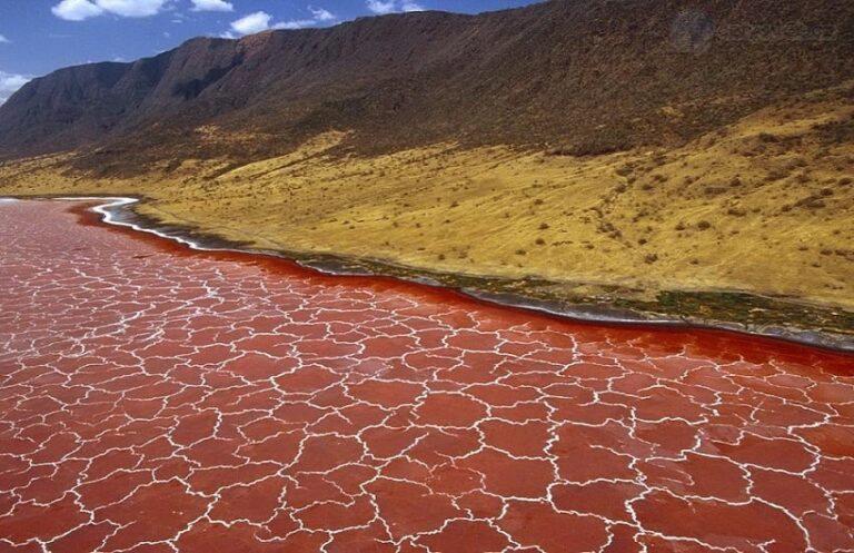 This is the most amazing lake in the world, one who dives into the water becomes a stone