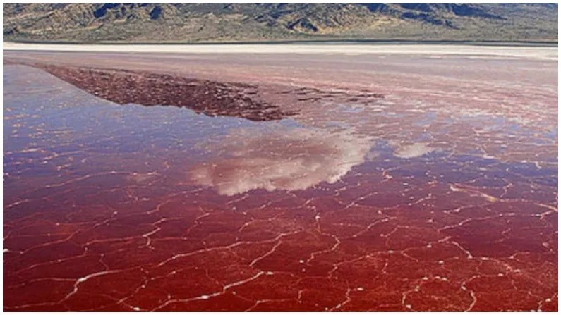This is the most amazing lake in the world, one who dives into the water becomes a stone