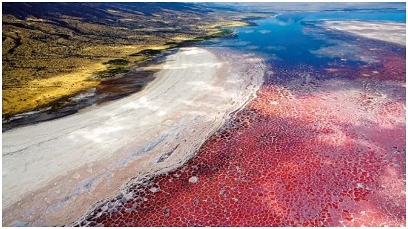 This is the most amazing lake in the world, one who dives into the water becomes a stone
