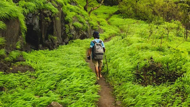 If you are a trekking enthusiast then enjoy it in Delhi NCR Leopard Trail can be the best option