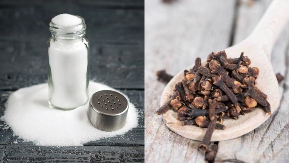 Mixture of salt with cloves is wonderful, all troubles will be removed