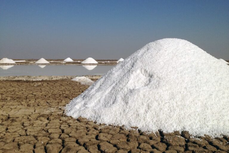 Farmers are becoming empowered by making salt from solar energy in the small desert of Kutch