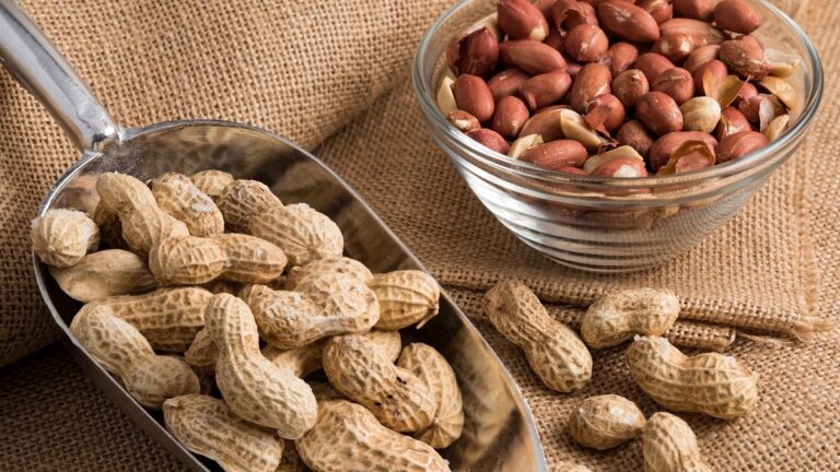 Peanut is a treasure of health, know the many benefits of eating it in winter.