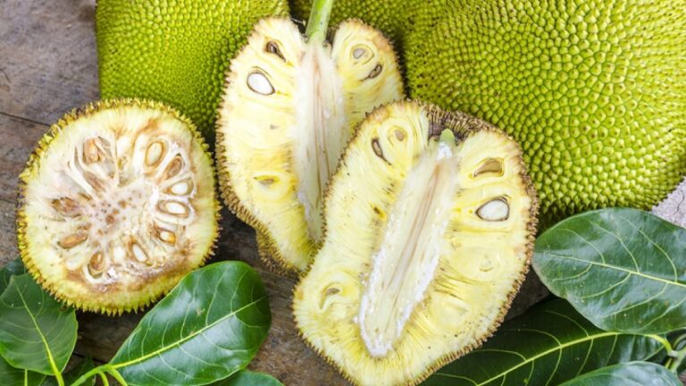 If you also eat these things along with jackfruit, it will cause harm instead of benefit