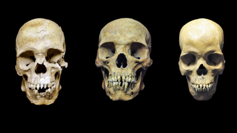 Why has this country preserved the skulls of slaves? The world wants but does not give, the reason is surprising