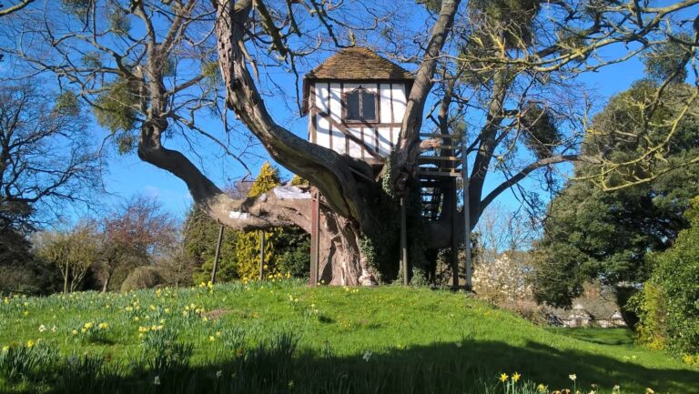 The oldest tree house in the world, Queen Victoria of Britain has also stayed here