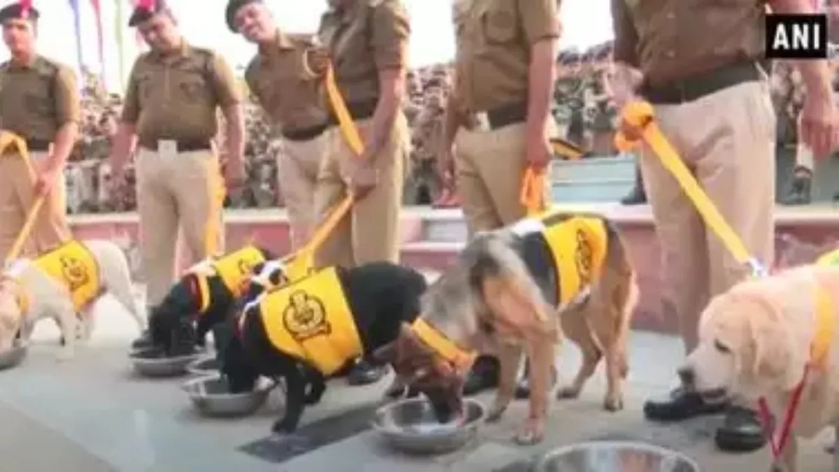 A special shelter home for dogs who have served in the state police will be provided with these facilities