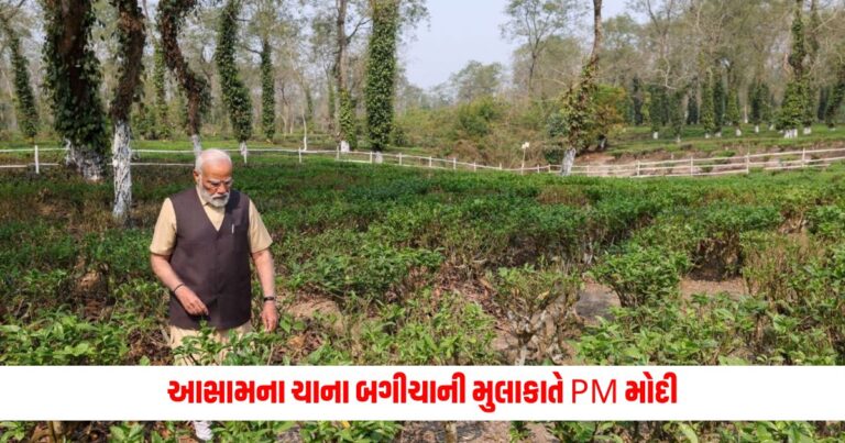 National News: આસામના ચાના બગીચાની મુલાકાતે PM મોદી, દેશવાસીઓને કરી આ અપીલ