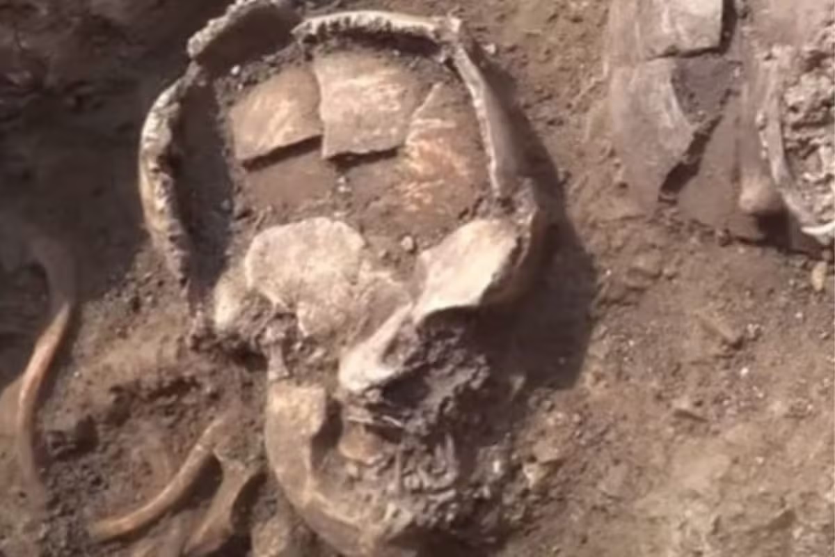 Offbeat News: 2500 years old helmet unearthed during grave excavation, scientists shocked, know its history