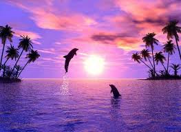 Offbeat News: 'Khoon ki Holi' is played every year, the sea water here turns red
